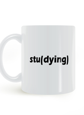 学术人 研究生 studying 学术狗 自嘲搞笑马克杯陶瓷水杯礼品