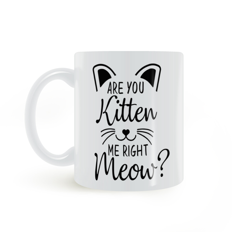 Are You Kitten Me Right Meow 搞笑猫奴铲屎官 陶瓷马克杯咖啡杯