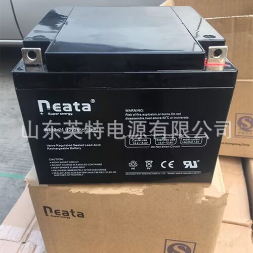 NEATA能特蓄电池NT12-24/12V24AH/20HR消防主机