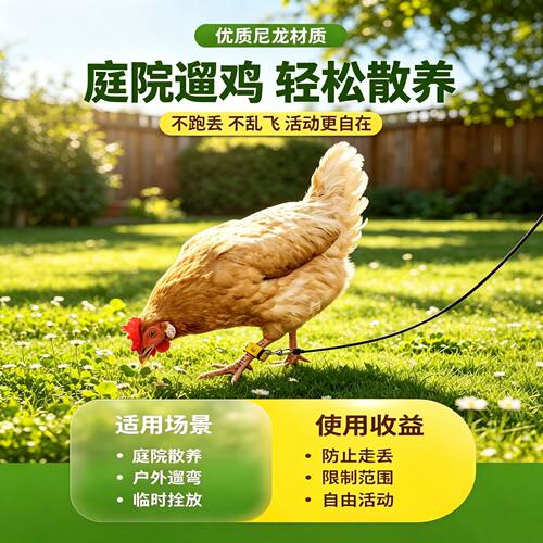 鸡柯尔鸭牵引绳遛鸭子绳脚环牵引遛鸡绳宠物用品孔雀鹅绳代发跨境
