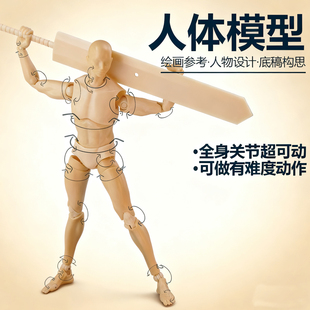 升级版关节灵活人体模型素体漫画参考素描1/6美术绘画人偶