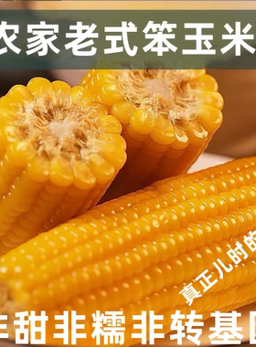 山东老式笨玉米真空即食正宗