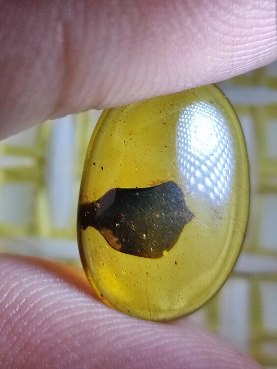 花瓣戒面名琥堂天然缅甸琥珀化石