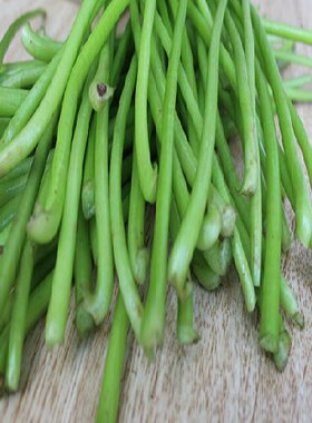 新鲜山芋藤山芋杆子农家自种红芋