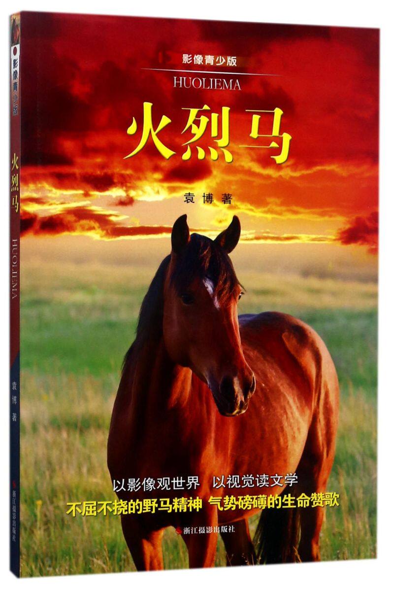 火烈马(影像青少版)
