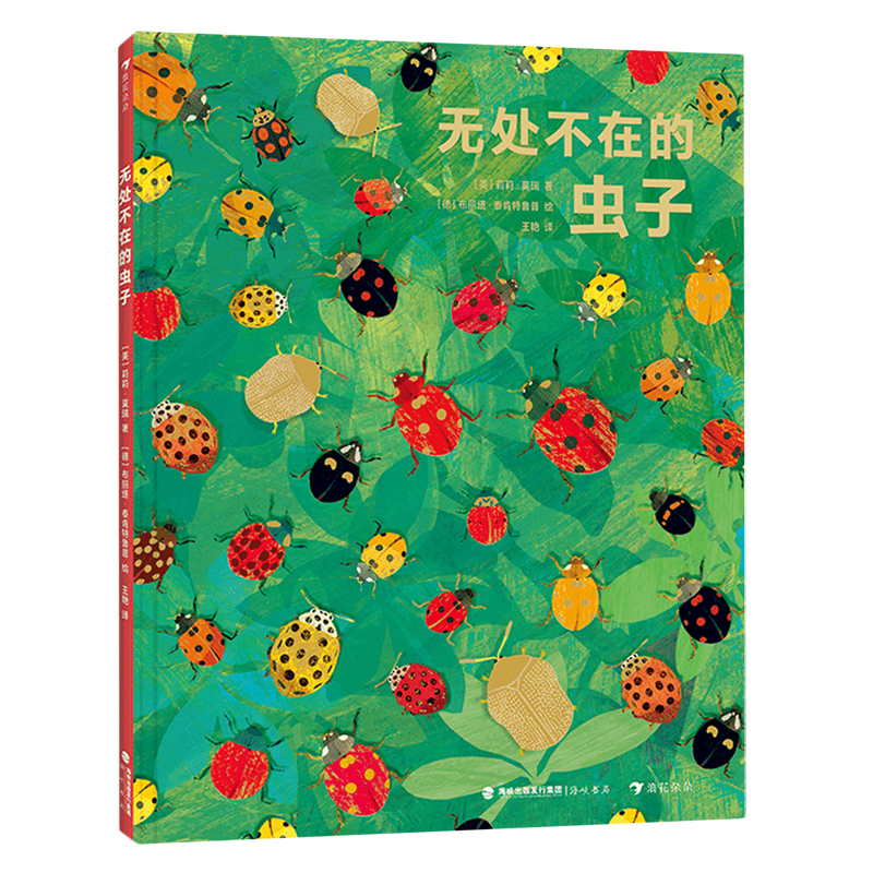 无处不在的虫子 - 实物图