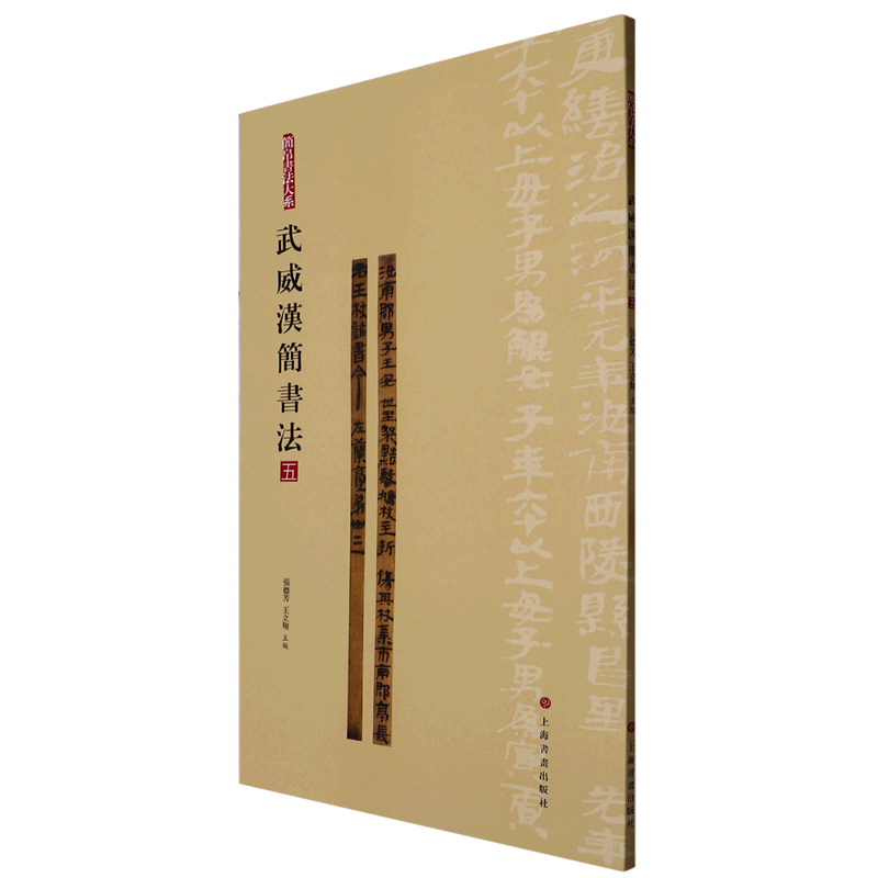 武威汉简书法(5) 简帛书法大系原帖简体旁注局部放大隶书篆书毛笔软笔