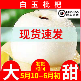 金华兰溪白玉枇杷鲜果白枇杷礼盒现摘白沙特大新鲜大果浙江穆坞
