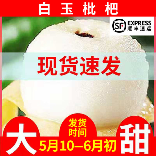 白玉琵琶白枇杷新鲜大果浙江兰溪穆坞当季顺丰包邮白沙土枇杷3斤