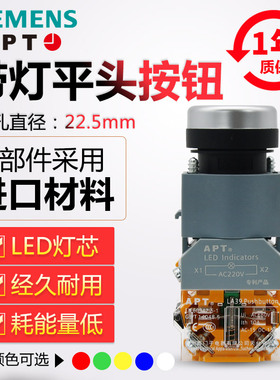 正品西门子APT带灯LA39-B2-11D/G23二工平头自锁复位按钮开关红绿