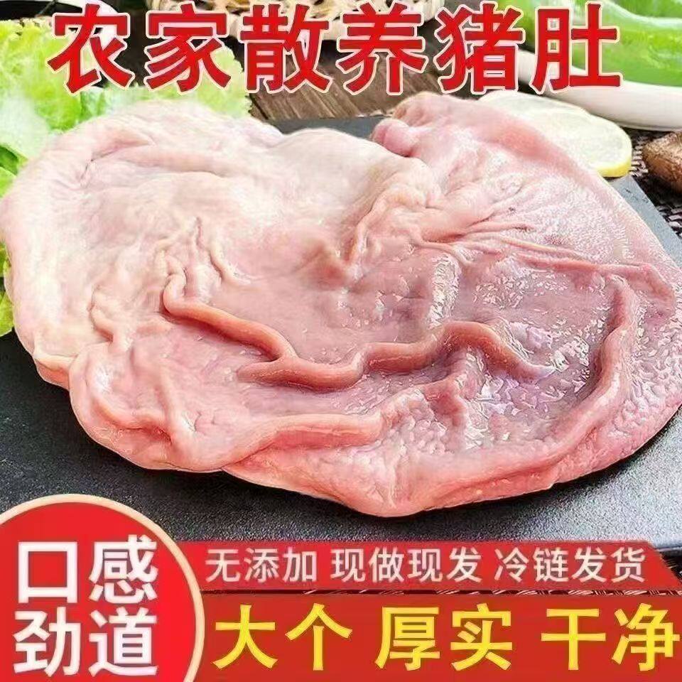 优质新鲜猪肚黑猪肚正宗农家散养土猪肚整只猪肚生猪大肚干净猪胃