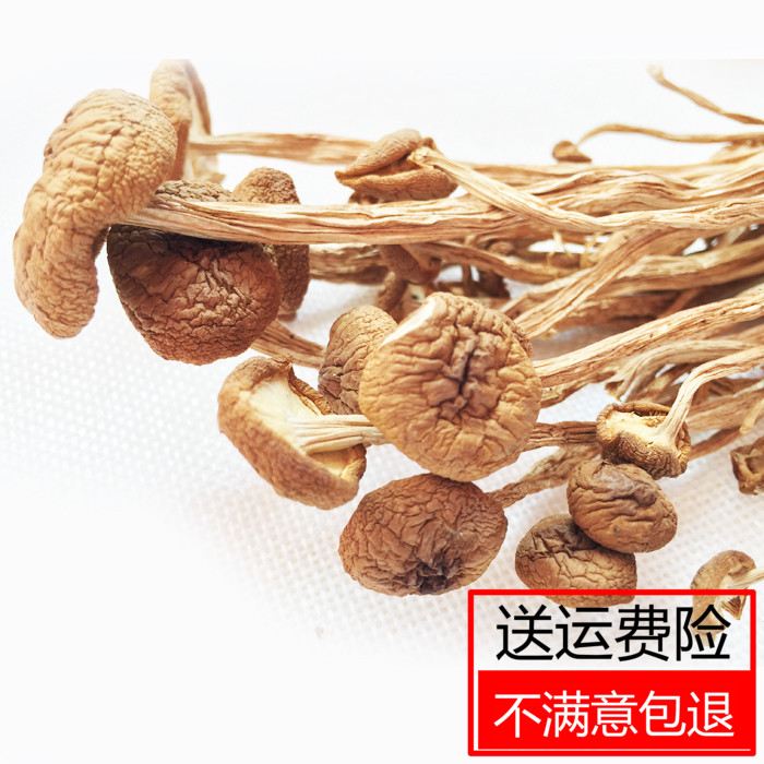 福建古田新鮮茶樹菇不開傘農家現烤現賣土特産茶薪菇幹貨500g包郵在類目 糧油米麪/南北乾貨/調味品, 南北乾貨/肉類乾貨, 乾貨/土特產, 香菇類中 - 來自Buy2taobao.com提供專業的淘寶代購服務