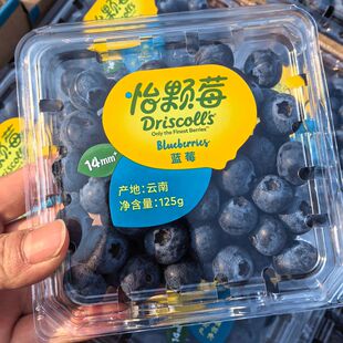 怡颗莓云南蓝莓新鲜水果当季孕妇水果12盒大果顺丰顺丰北京发