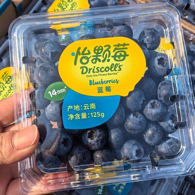 怡颗莓云南蓝莓新鲜水果当季孕妇水果12盒大果顺丰顺丰北京发