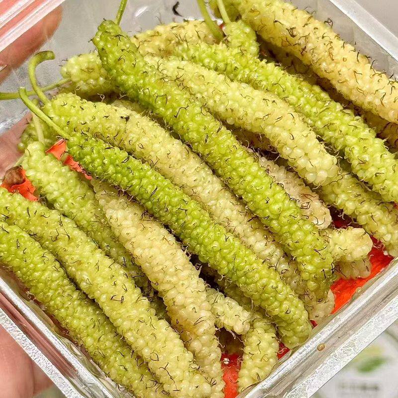 白玉蜜桑新鲜桑葚果5盒一斤装应季水果顺丰北京发