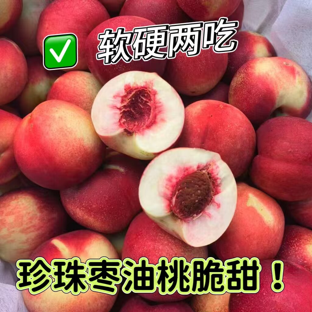 新疆珍珠枣油桃新鲜水果枣蜜桃甜桃子顺丰发货
