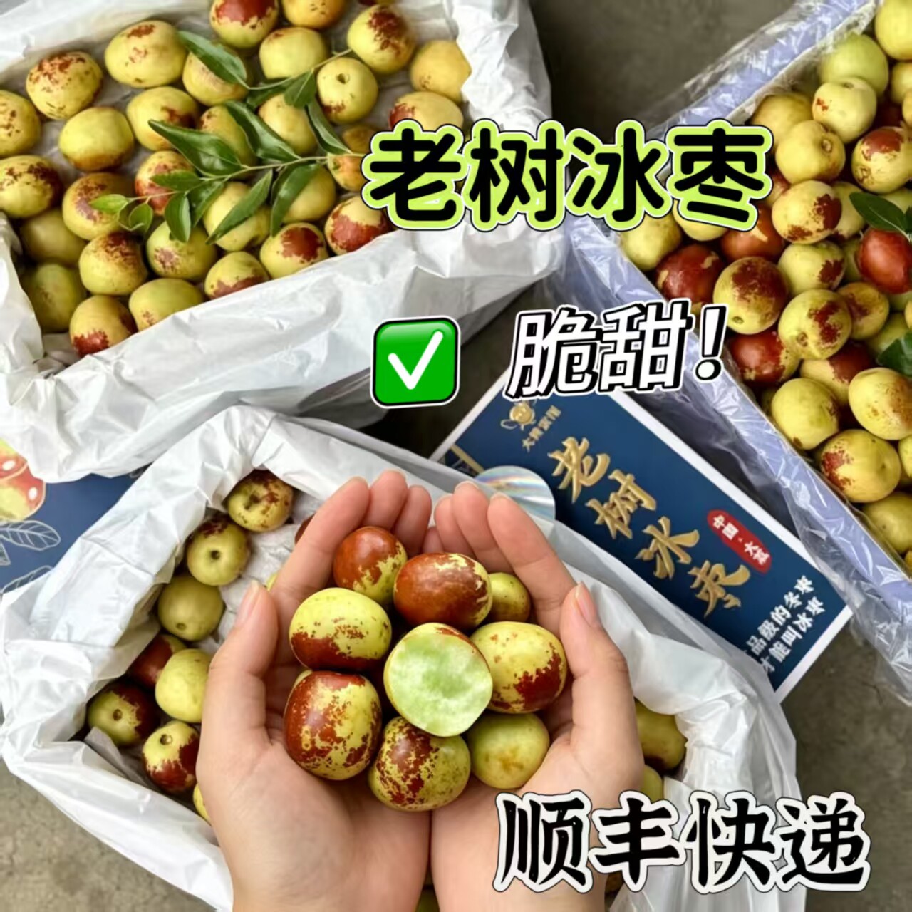 大糖蜜探老树冰枣2斤礼盒装陕西大荔冬枣新鲜水果脆甜顺丰北京