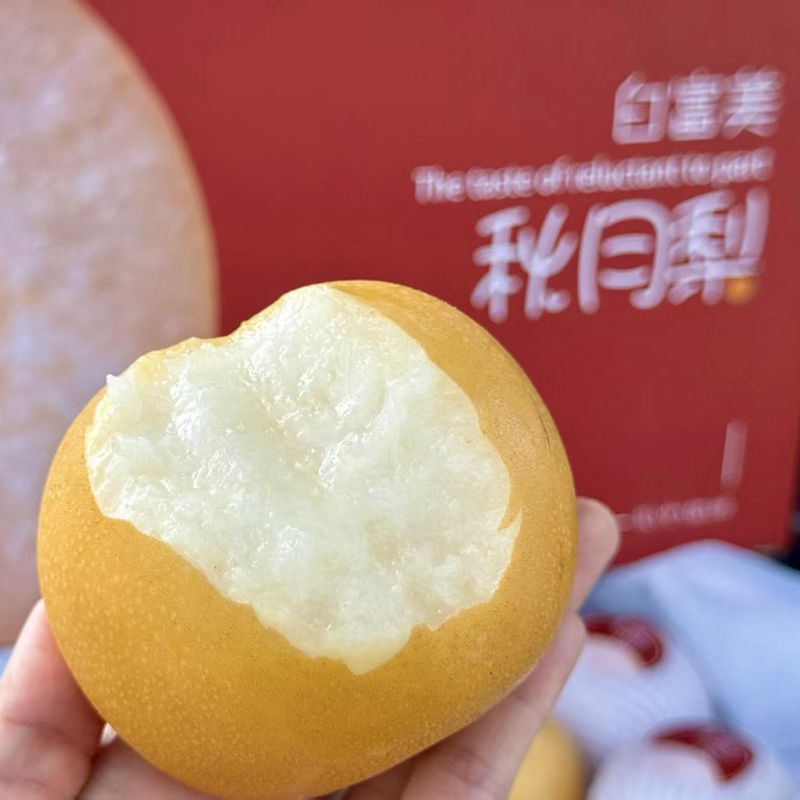 白富美秋月梨礼盒山东冰糖梨子