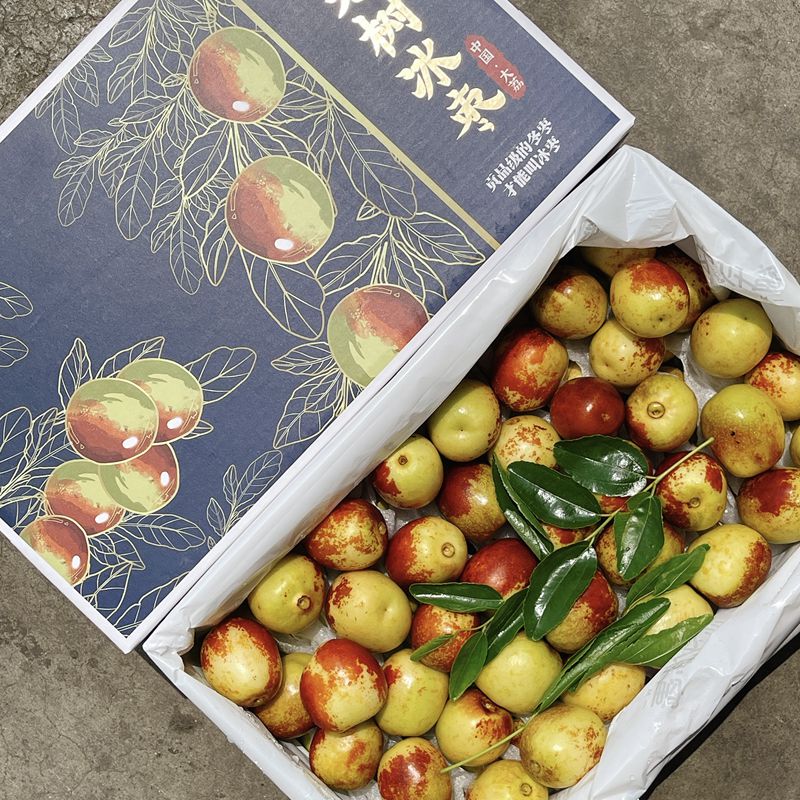老树冰枣陕西大荔冬枣