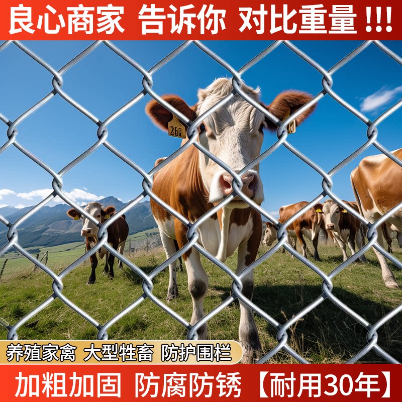 勾花网圈地隔离网养殖防护网围栏