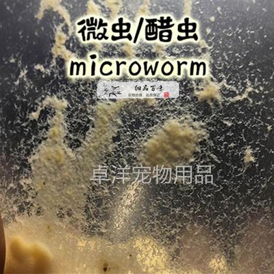 白线虫格林达尔蠕虫醋虫汽水微虫活体饲料高蛋白斗鱼金鱼小鱼开口