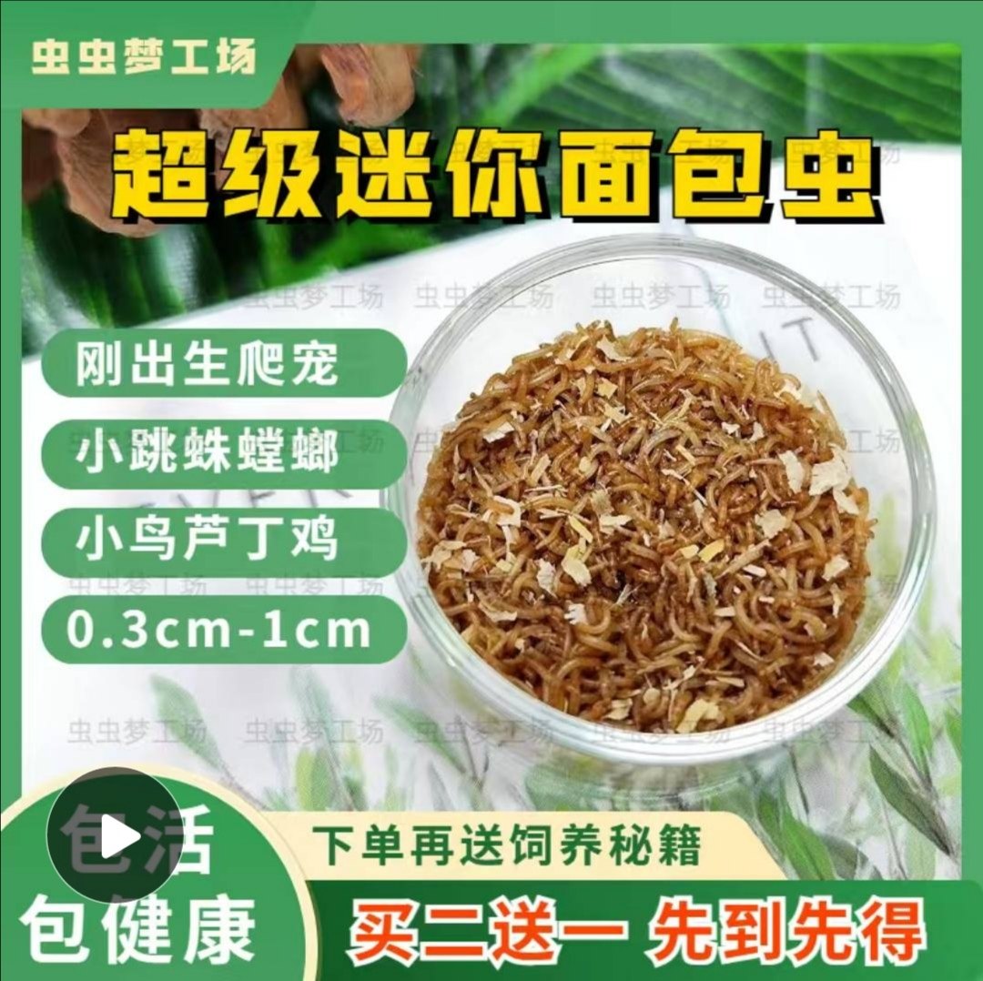 小黄粉虫小面包虫大麦虫活体小幼观赏虾蟹等饲料