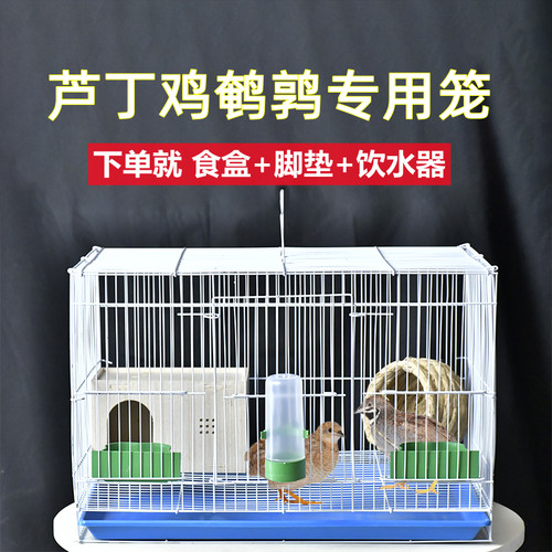 凤美芦丁鸡养殖笼金属烤漆防腐
