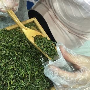 黄山毛峰2025新茶宾馆绿茶茶包茶叶养生茶包秋冬茶碎半斤袋装包邮