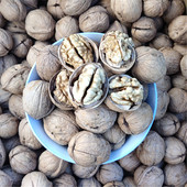 25年5斤装 孕妇豆浆干果食 新核桃新疆纸皮核桃原色无漂白手捏即开