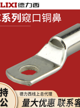 德力西SC10-6/25-8/35-10/50-8/70-8/95-12窥口铜鼻子接线端子