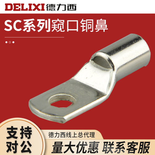 窥口铜鼻子接线端子德力西