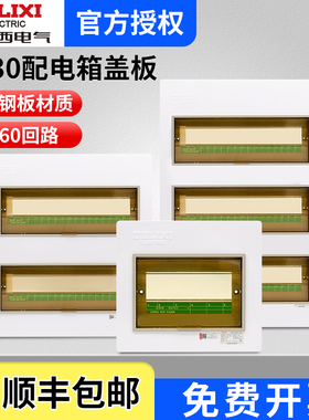 德力西家用配电箱盖板PZ30面板强电箱明暗装空开盒电表箱外壳盖子
