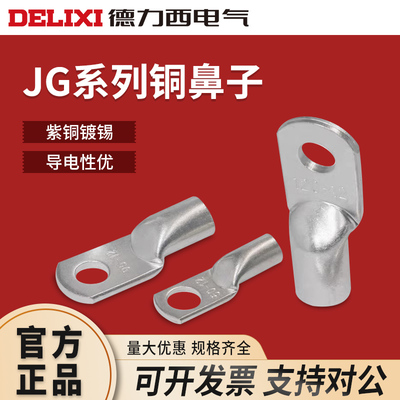 德力西JG镀锡铜鼻子铜接头