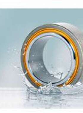 德国 FLURO 轴承 FIR0300040401  GIXSW 30