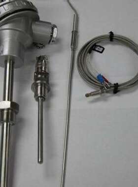 铠装热电阻/铂热电阻   XRS-WZPK2-338