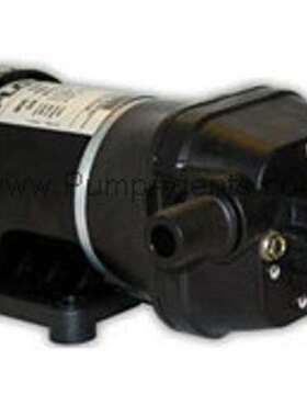 美国Flojet泵I102010211