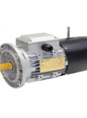 优势供应Seipee意大利AREA FOR 2 3G/3D防爆电机