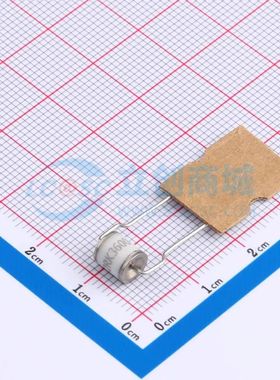 2RK3600L-5-SDVCA/B 气体放电管(GDT) 插件,D5.5mmxL30mm 2RK3600