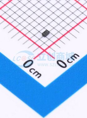 BAS21LLYL 开关二极管 DFN1006-2 BAS21LLYL