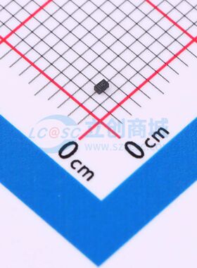 HVESD12A1C-HD1-GS08 静电和浪涌保护(TVS/ESD) DFN1006-2L HVESD