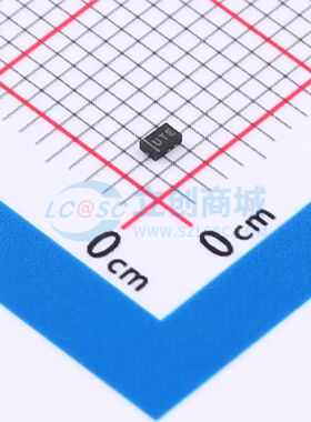 BN5A241V 静电和浪涌保护(TVS/ESD) DFN1610-2L BN5A241V