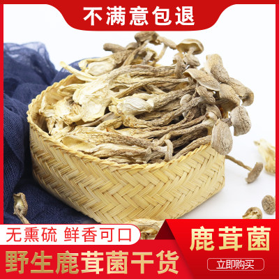 野生菌谷鹿茸菌干货250g火锅配菜