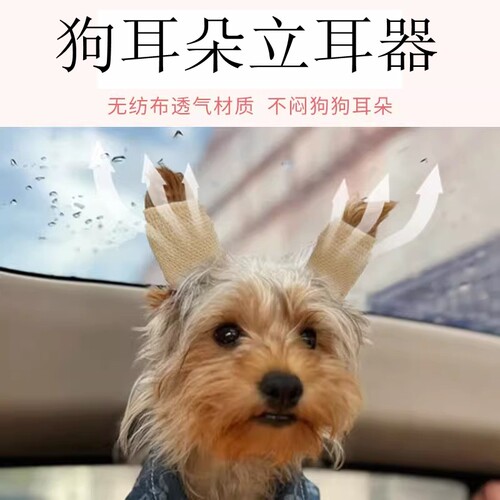 约克夏立耳胶带雪纳瑞立耳器柯基幼犬辅助竖耳器小狗边牧立耳贴