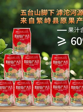 山西五台山特产 繁峙杏之魂赵庄村 白水杏大杏果汁饮料 248ml罐装