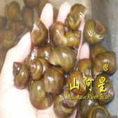 山河星生态河鱼新鲜大田螺现捡清水活体圆泥螺狮鲜活闽清流九龙湖