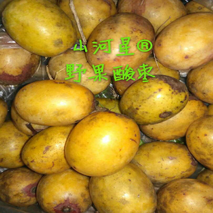 山河星野生水果新鲜酸枣果然南酸枣仁五眼果鼻涕果孕妇酸枣糕原料