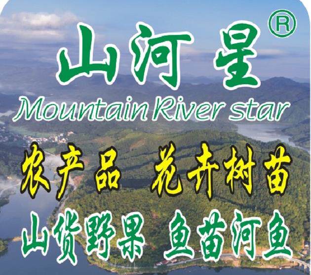 山乌豆香藤子根满山香风藤子野膳炖汤佐料煲汤三明野草根养生食材