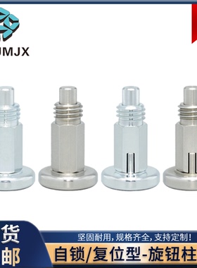 分度销螺栓止动销自锁复位型旋钮柱塞MT101细牙弹簧定位柱销M6810