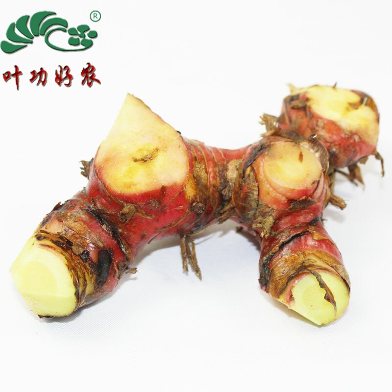 冬阴功汤料galangal 新鲜山姜南姜高良姜 冬阴功 500g