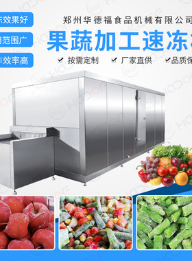 华德福制冷设备 果蔬隧道式速冻机 板栗速冻隧道 降温快 锁鲜设备